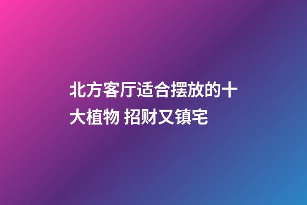 北方客厅适合摆放的十大植物 招财又镇宅
